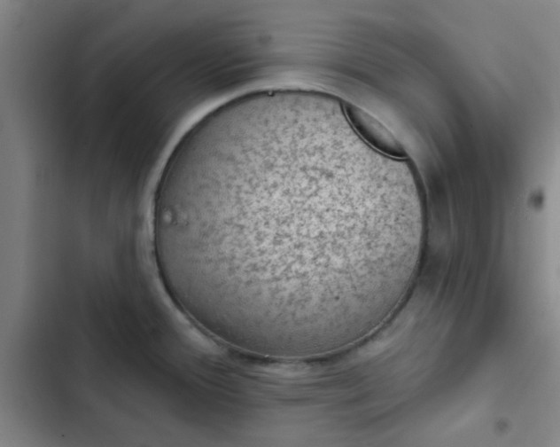 X0000102461388200808221608