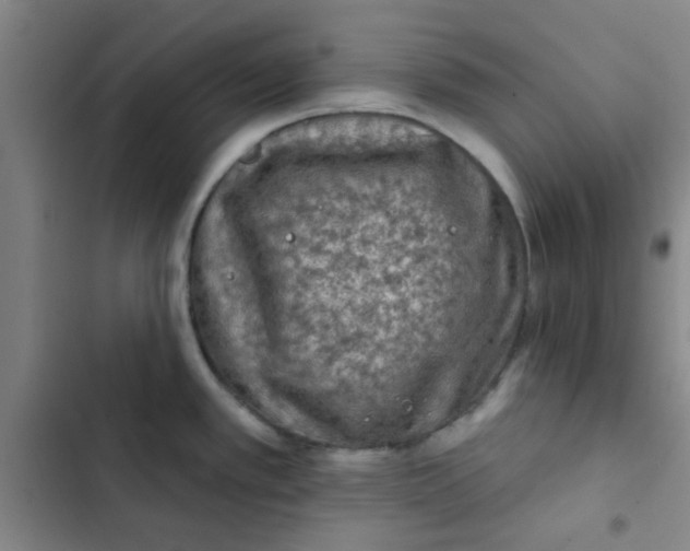 X0000102461389200808221608