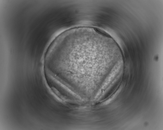 X0000102461390200808221608