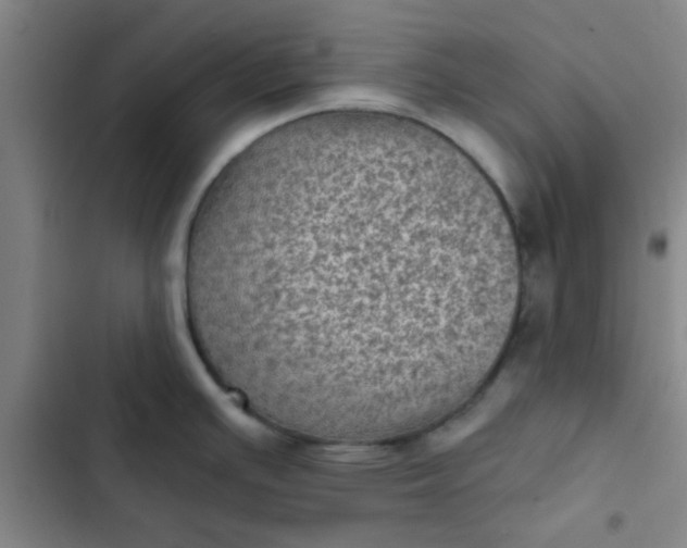 X0000102461391200808221608