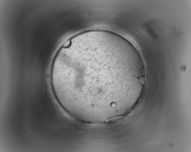 X0000102461392200808221608