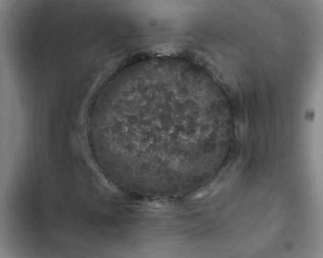 X0000102461393200808221608