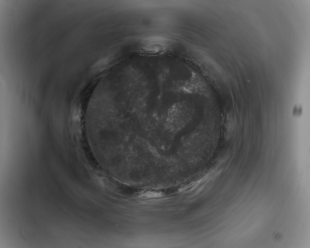 X0000102461394200808221608