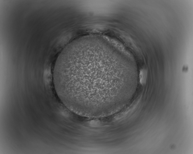 X0000102461395200808221608