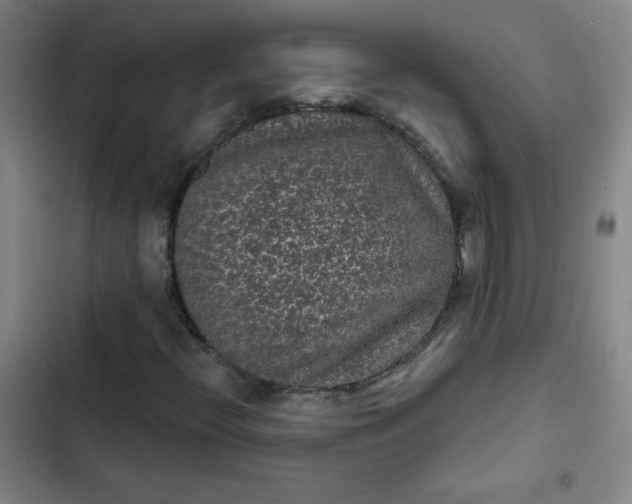 X0000102461396200808221608