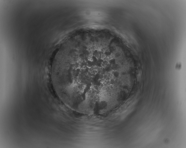 X0000102461397200808221608