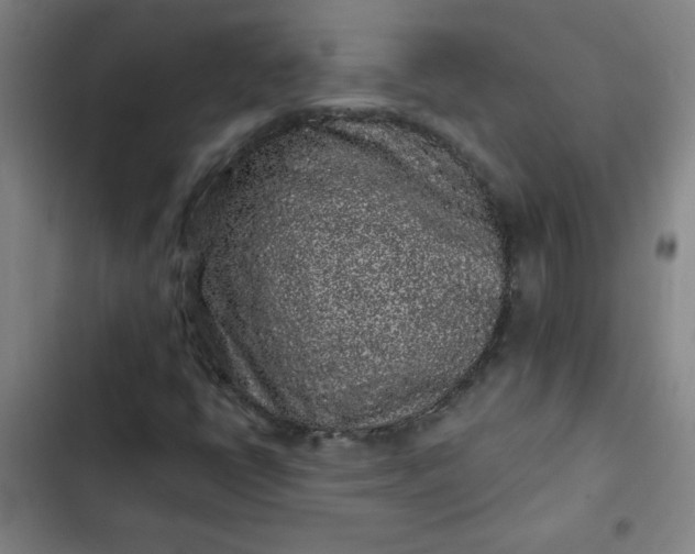 X0000102461398200808221608