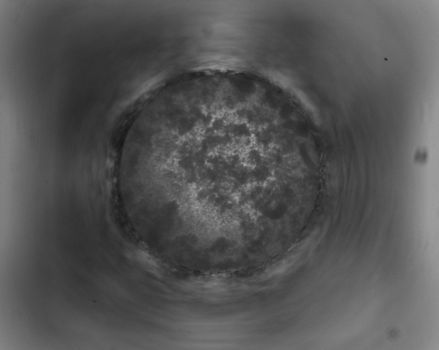 X0000102461399200808221608