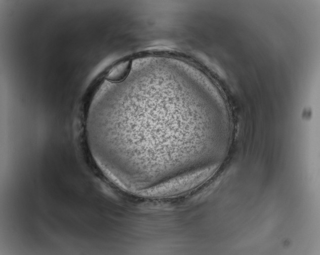 X0000102461400200808221608