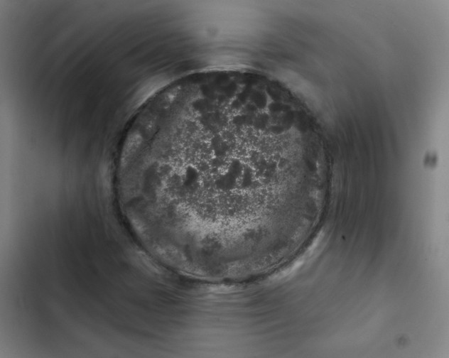 X0000102461401200808221608