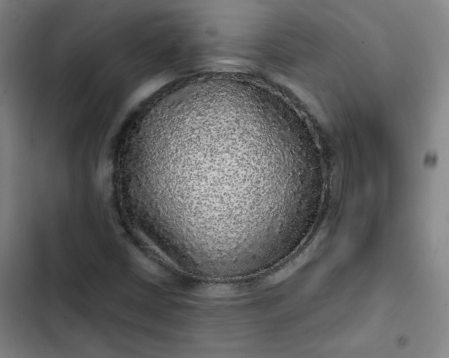 X0000102461402200808221608