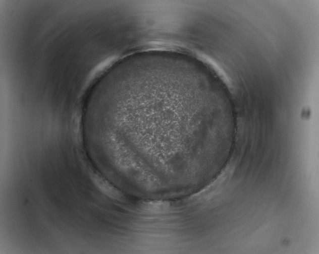 X0000102461403200808221608