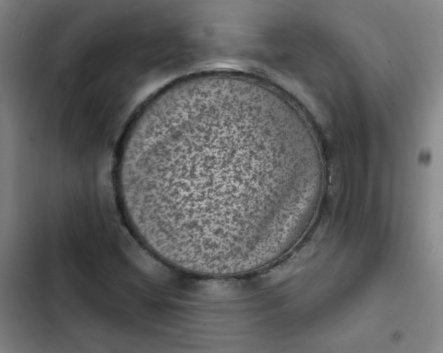 X0000102461404200808221608