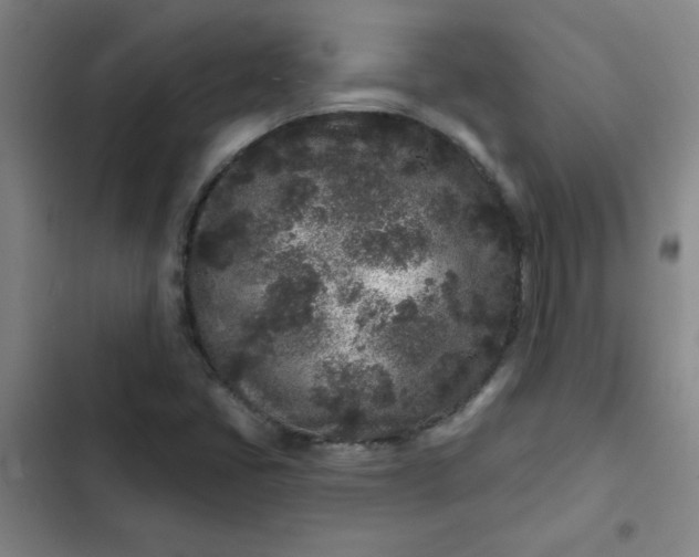 X0000102461405200808221608