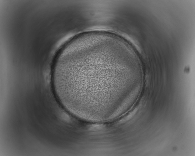 X0000102461406200808221608