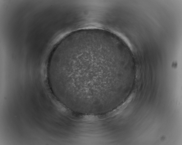 X0000102461407200808221608