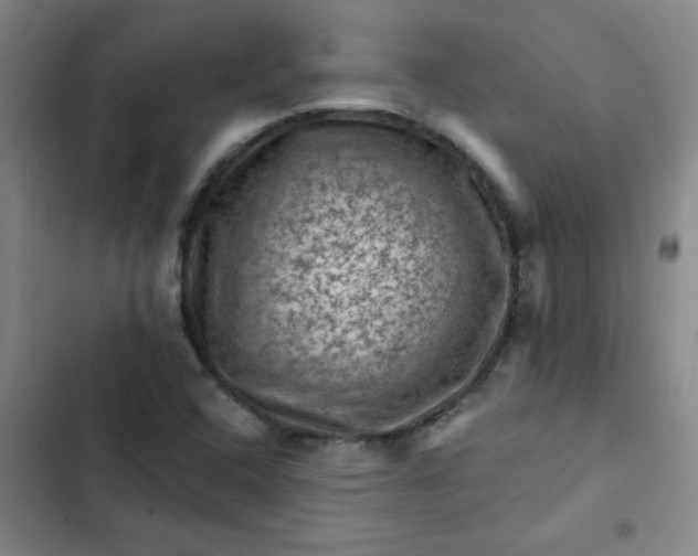 X0000102461408200808221608