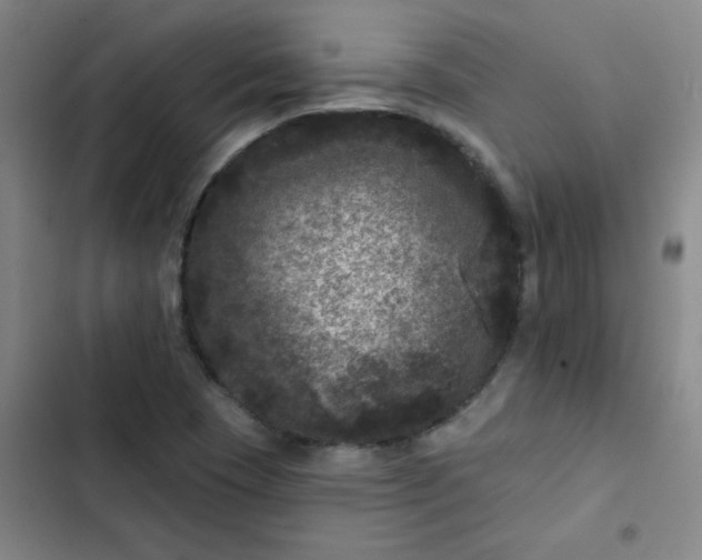 X0000102461409200808221608