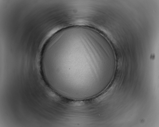 X0000102461410200808221608