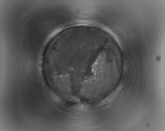 X0000102461411200808221608