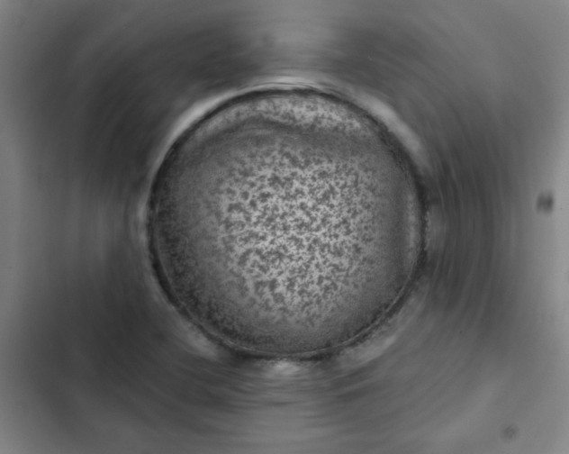 X0000102461412200808221608