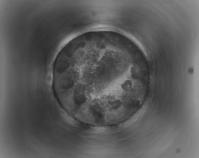 X0000102461413200808221608