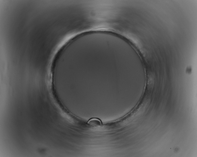 X0000102461414200808221608