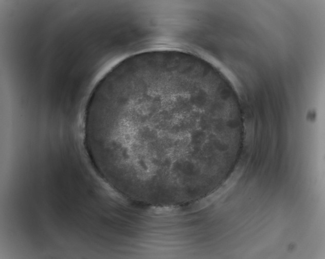 X0000102461415200808221608