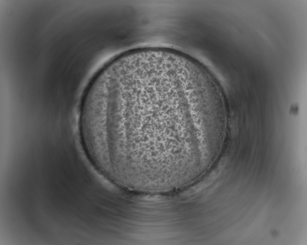 X0000102461416200808221608