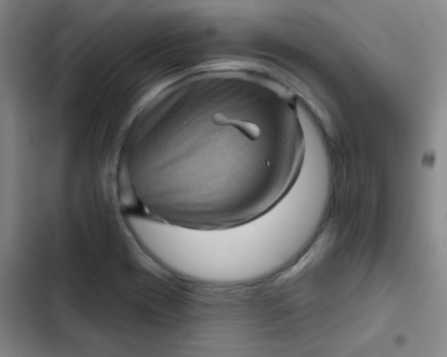 X0000102461417200808221608