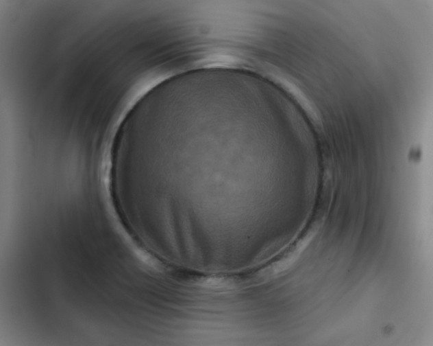 X0000102461418200808221608