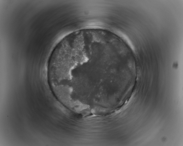 X0000102461419200808221608