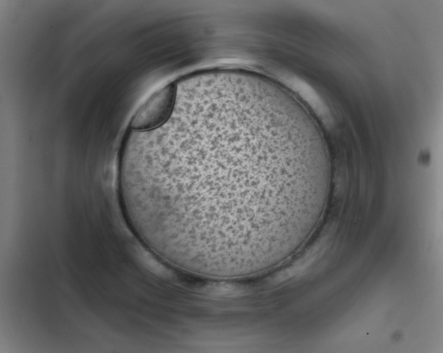 X0000102461420200808221608