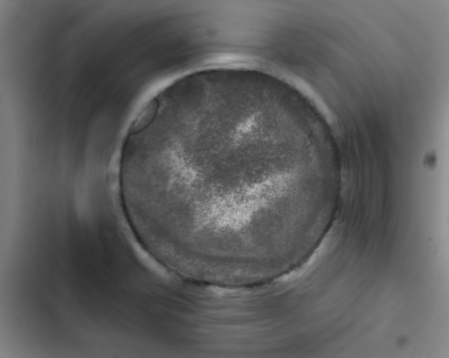 X0000102461421200808221608