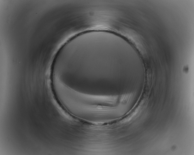 X0000102461422200808221608