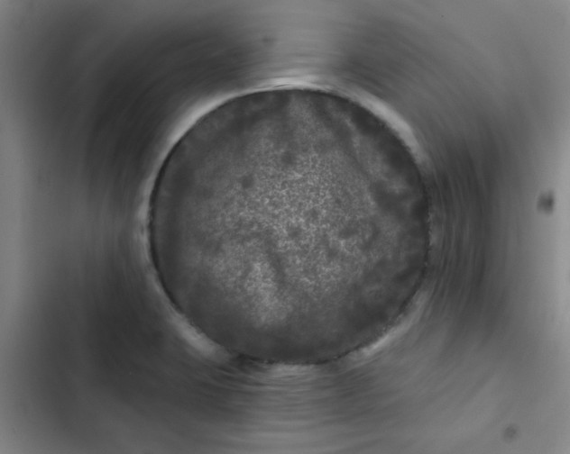 X0000102461423200808221608