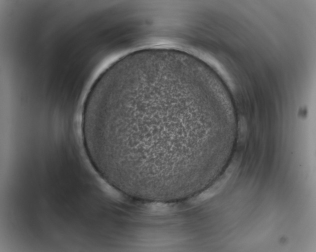 X0000102461424200808221608