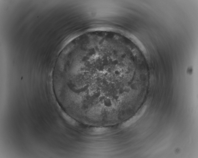 X0000102461425200808221608