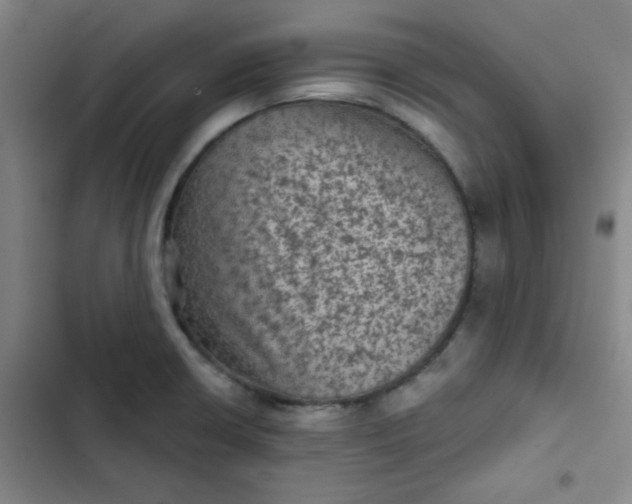 X0000102461426200808221608