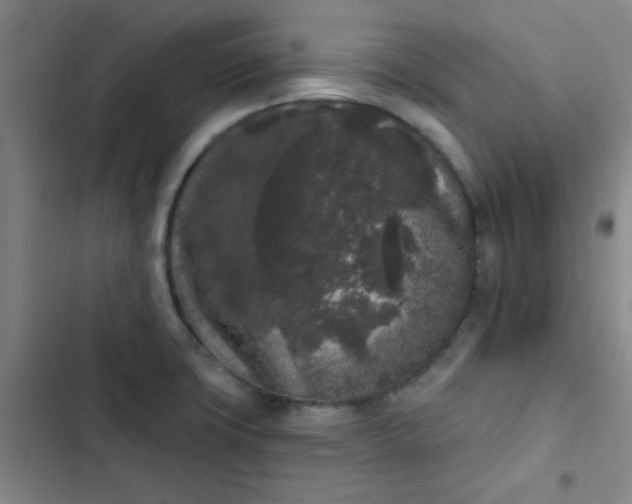 X0000102461427200808221608