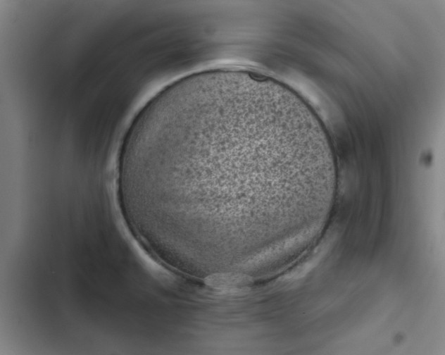 X0000102461430200808221608