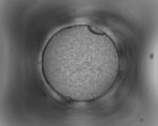 X0000102461431200808221608