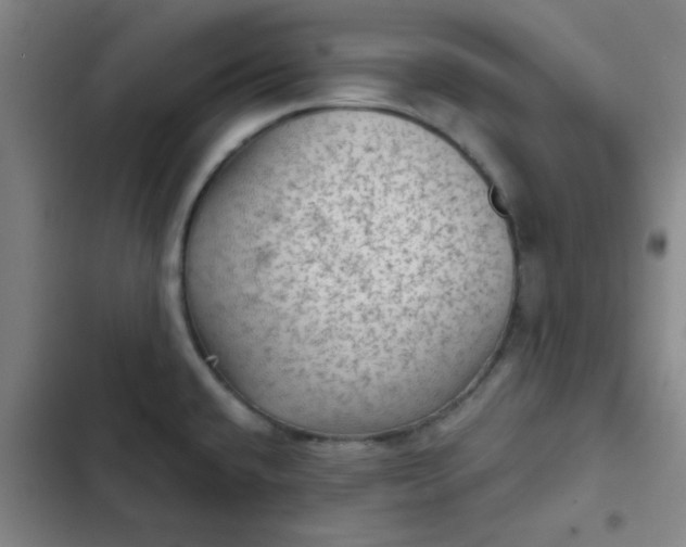 X0000102461432200808221608