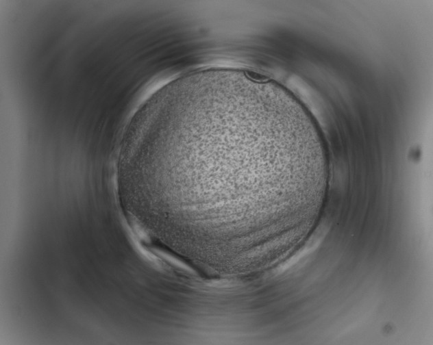 X0000102461433200808221608