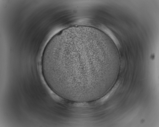 X0000102461434200808221608