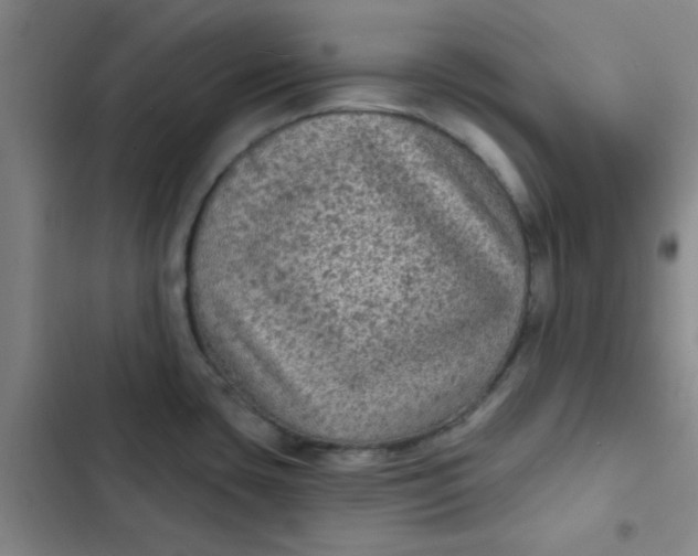 X0000102461435200808221608