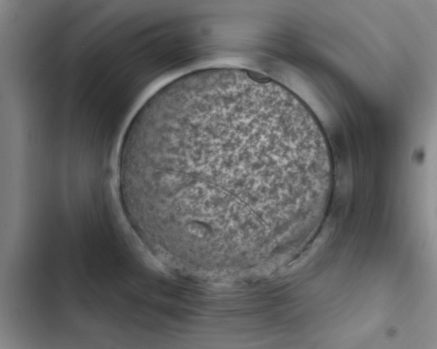 X0000102461436200808221608