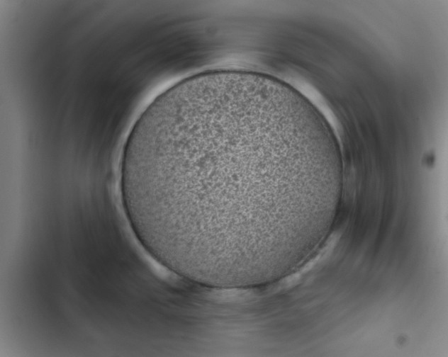 X0000102461437200808221608