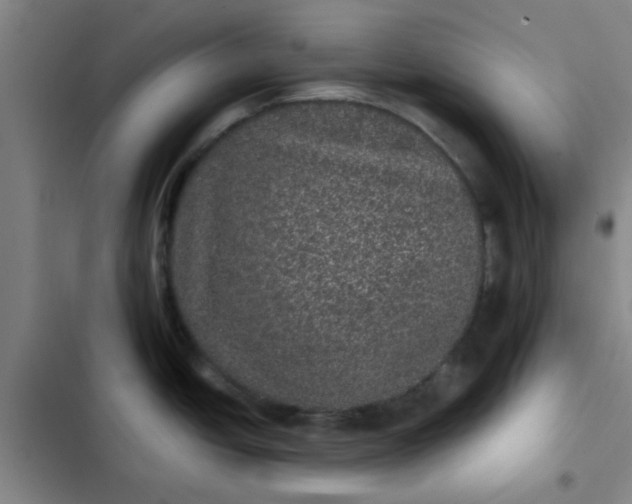 X0000102461438200808221608