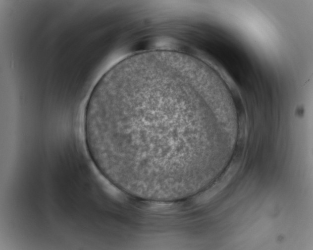 X0000102461439200808221608